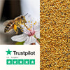 Polen de Abeja 150g